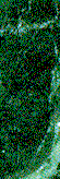 left green border